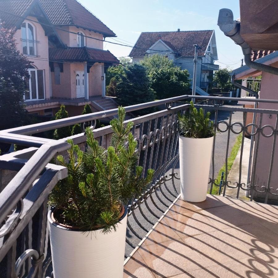 Apartment Andjela Beograd Eksteriør bilde