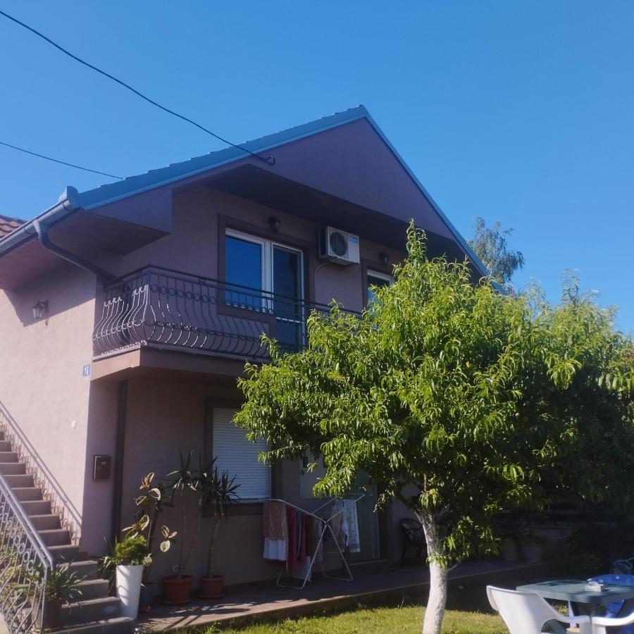 Apartment Andjela Beograd Eksteriør bilde